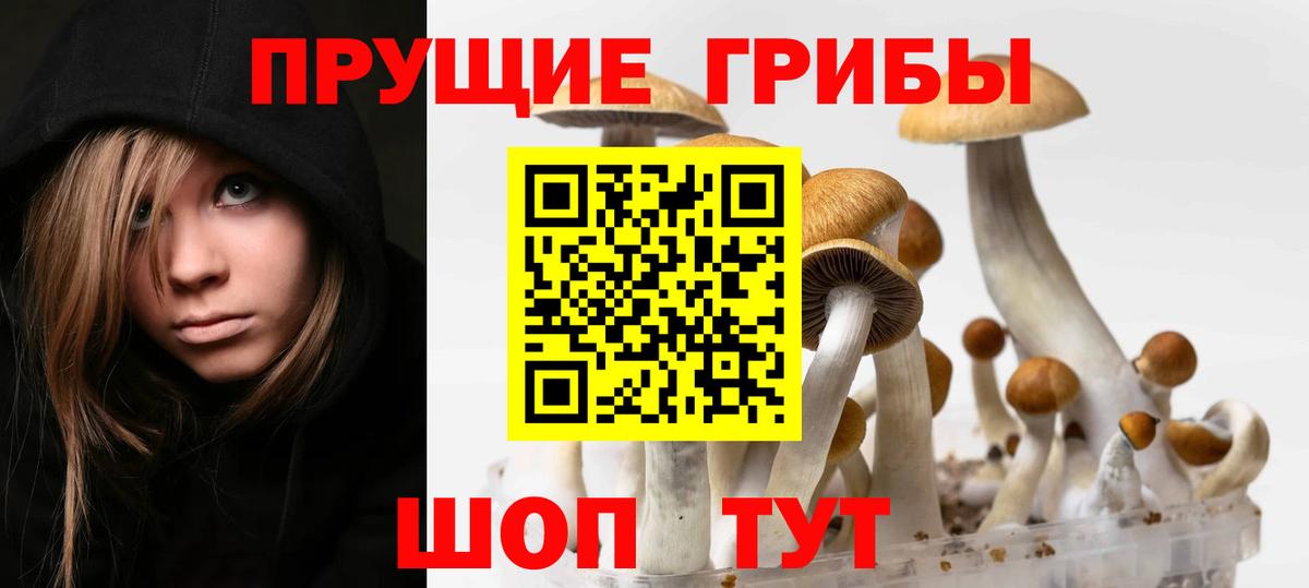 Красногорск  цены наркотик  Вход с VPN  Псилоцибиновые грибы прущие грибы 